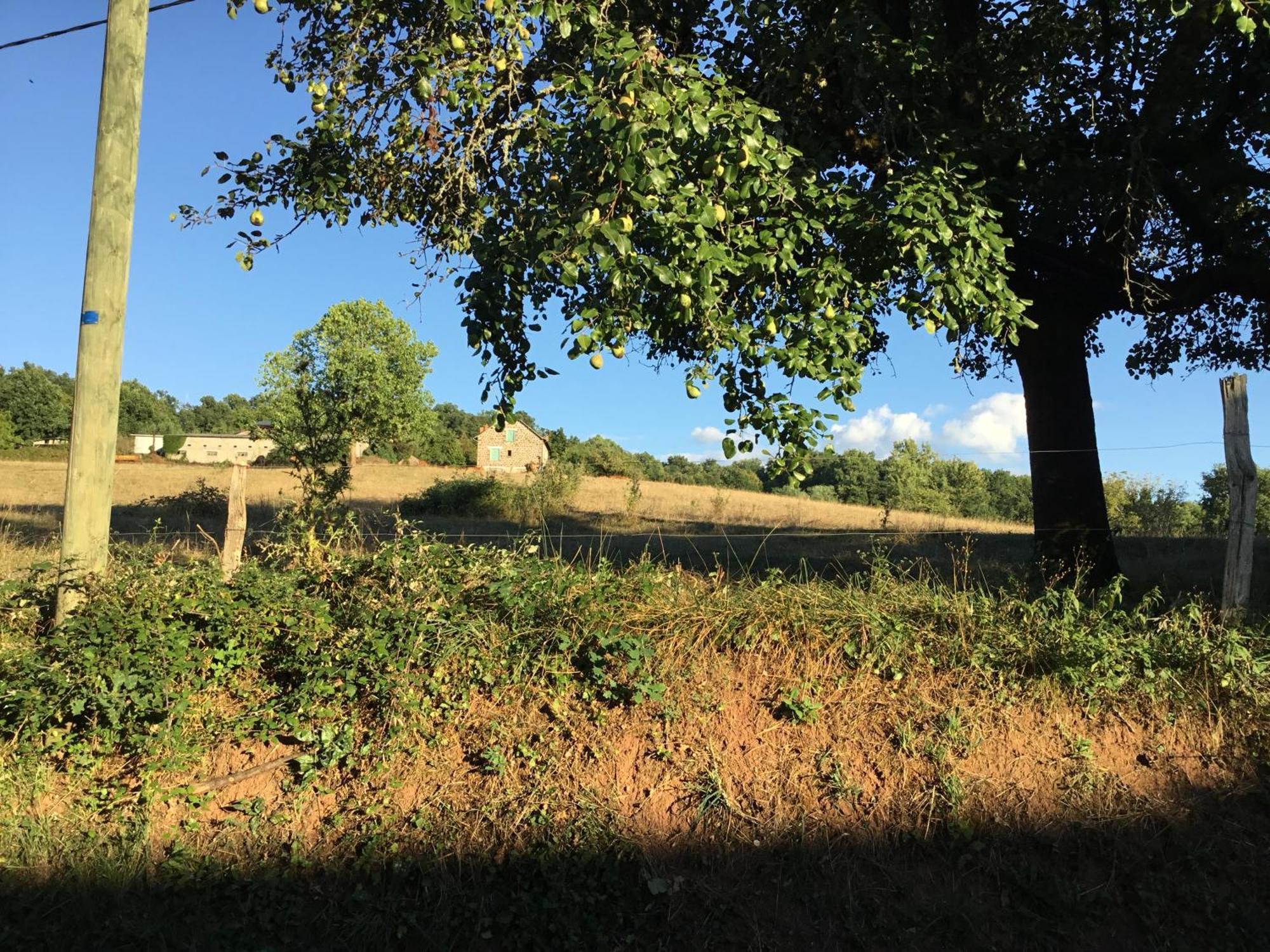 Le Clos De Rose Ussac Luaran gambar